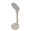 Amaya Q908-2 Desk Lamp